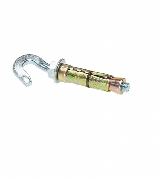 Rawl Plug with Hook (Pack of 1)