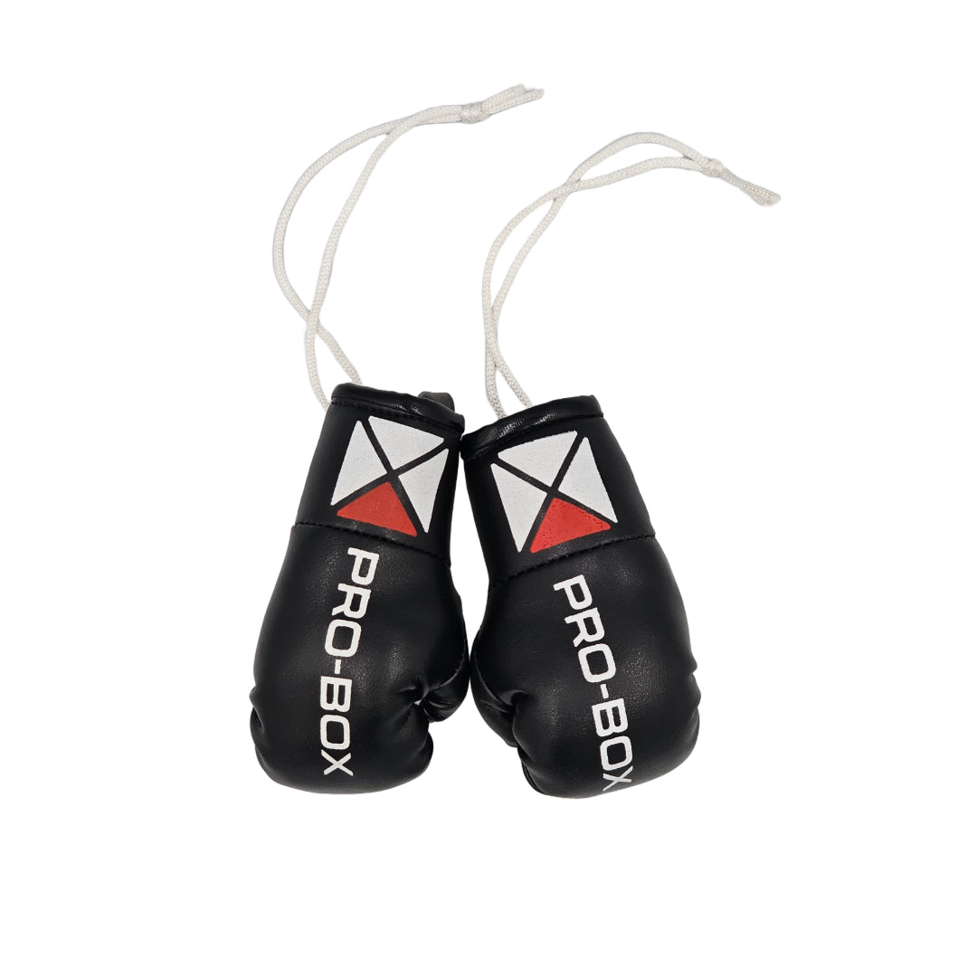 MINIATURE LEATHER BOXING GLOVES - BLACK
