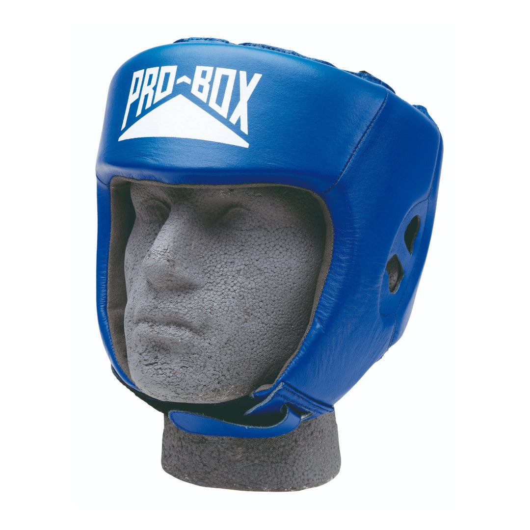 LEATHER CLUB ESSENTIAL BLUE HEADGUARD