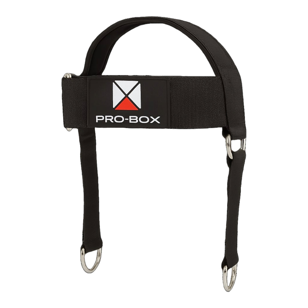 HEAD WEIGHT HARNESS