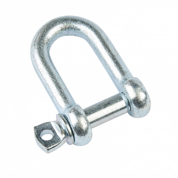 Small Dee Shackle (Pack of 1)
