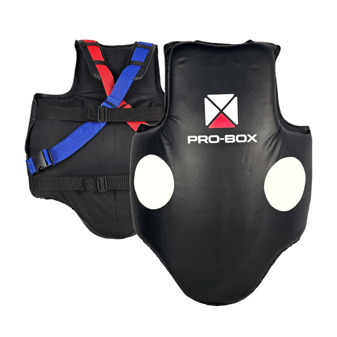 HEAVY HITTERS BODY PROTECTOR– Pro-Box