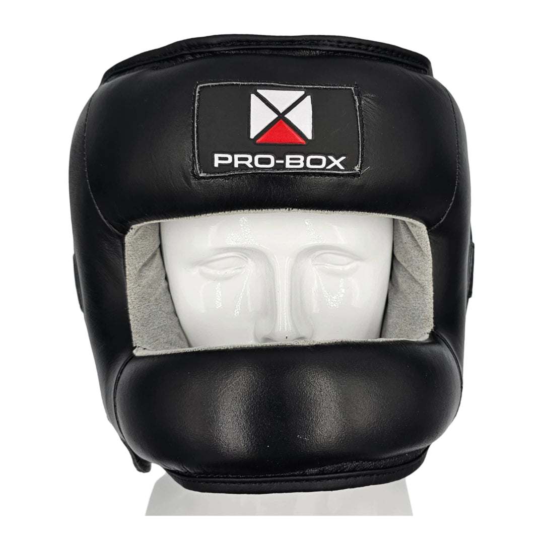 'FACE SAVER' ALUMINIUM BAR HEADGUARD– Pro-Box